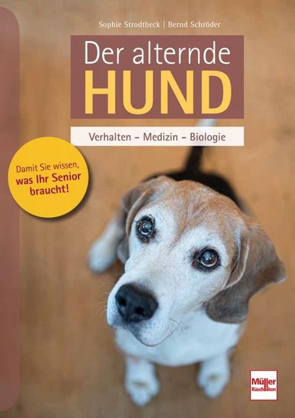 Der alternde Hund - Sophie Strodtbeck (Buch)