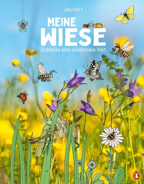 Meine Wiese. - Entdecke eine wunderbare Welt - Jan Haft (Buch)