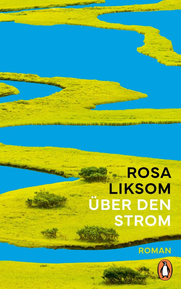 Über den Strom - Rosa Liksom (Buch)