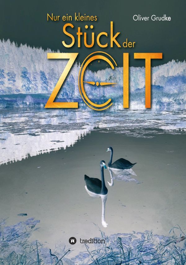 Nur ein kleines Stück der Zeit - Oliver Grudke (Buch)
