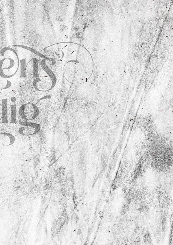 Kalender / Jahresplaner / Wochenplaner - Luise Keller (Buch)