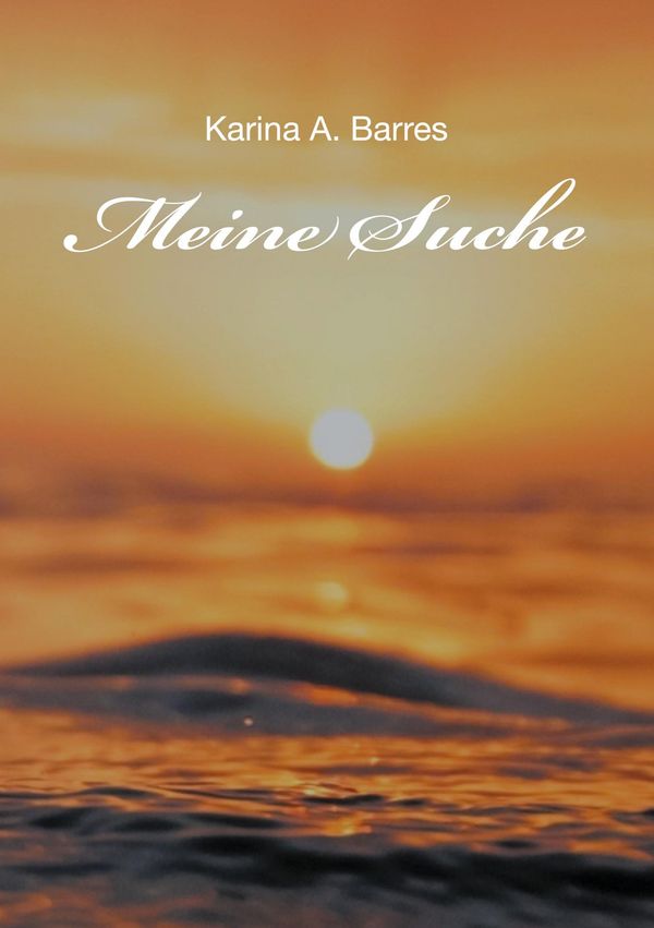 Meine Suche - Karina A. Barres (Buch)