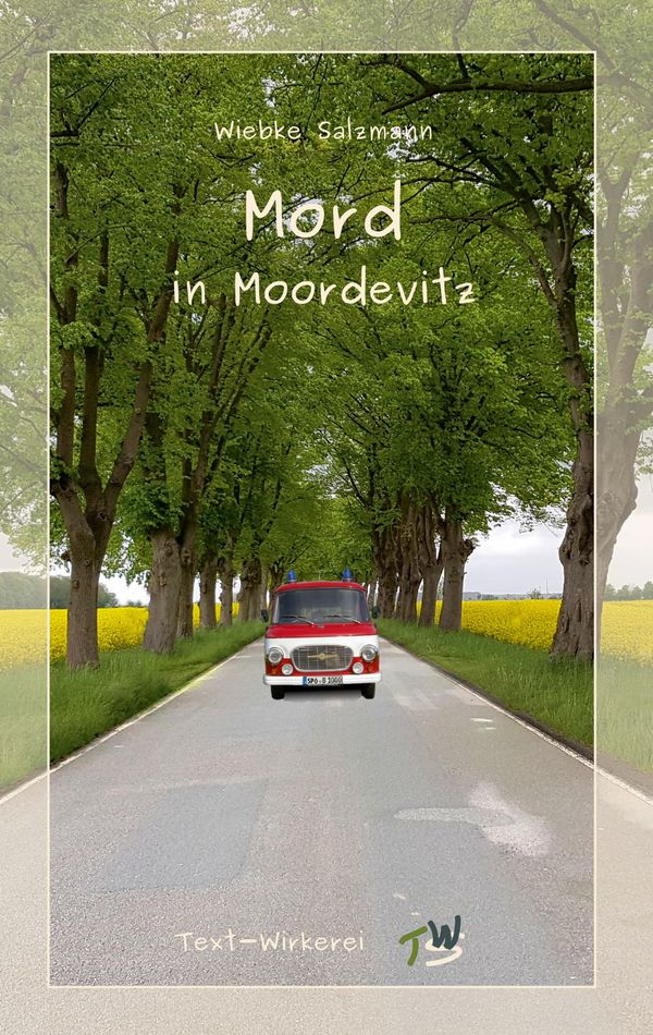 Mord in Moordevitz - Wiebke Salzmann (Buch)