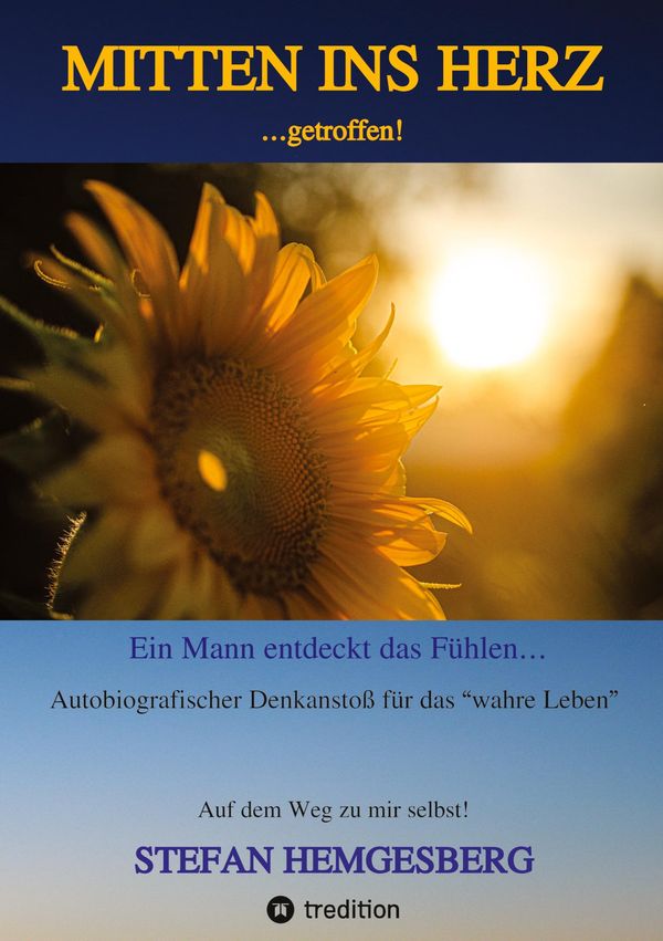 Mitten ins Herz ...getroffen! - Stefan Hemgesberg (Buch)