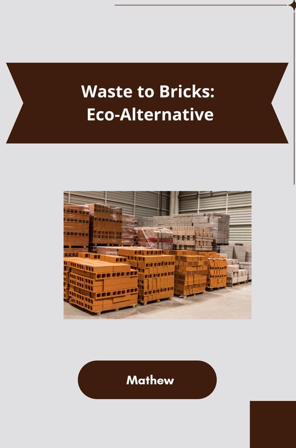 Waste to Bricks: Eco-Alternative - Mathew (Buch)