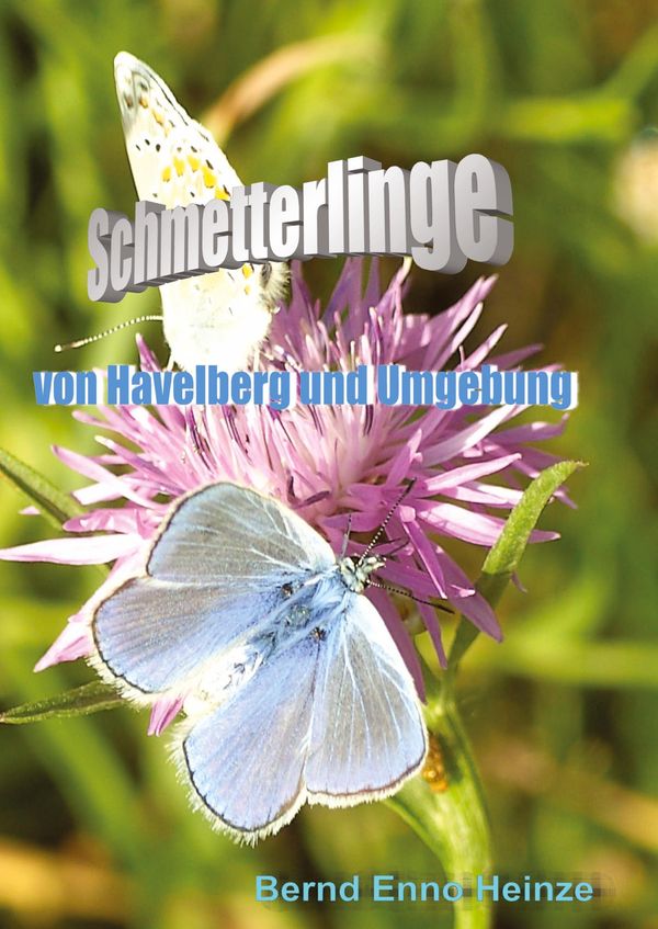 Schmetterlinge von Havelberg und Umgebung - Bernd Heinze (Buch)