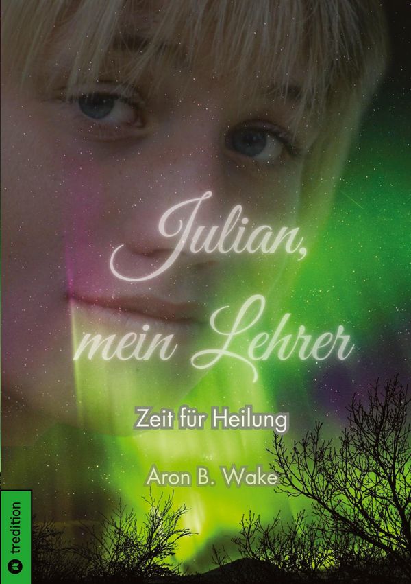 Julian, mein Lehrer - Aron B. Wake (Buch)