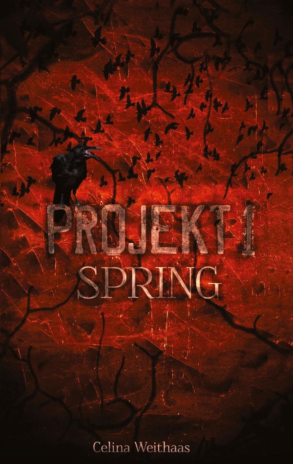 Spring - Projekt I - Celina Weithaas (Buch)