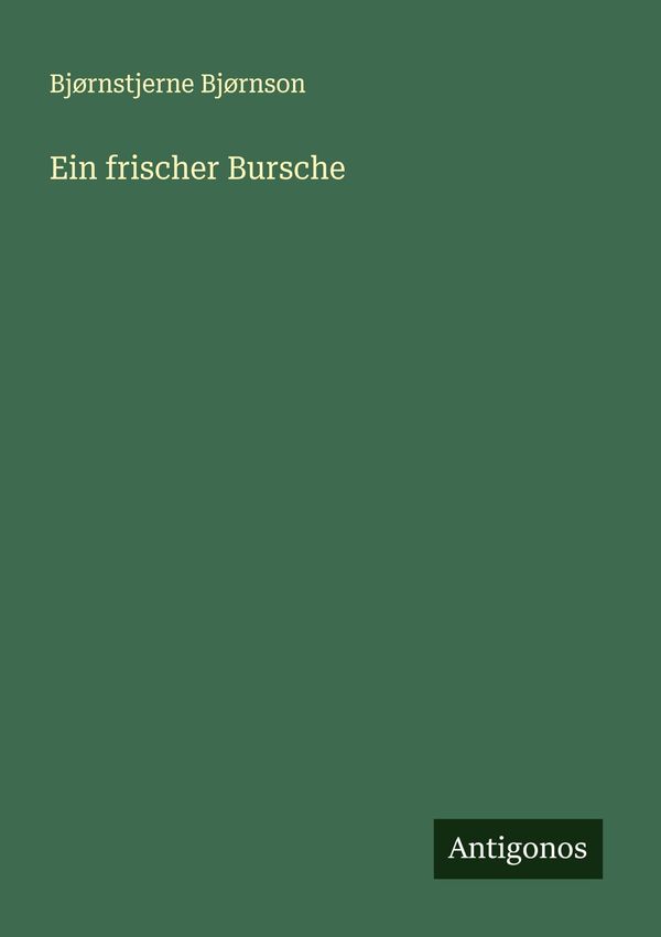 Ein frischer Bursche - Bjørnstjerne Bjørnson (Buch)