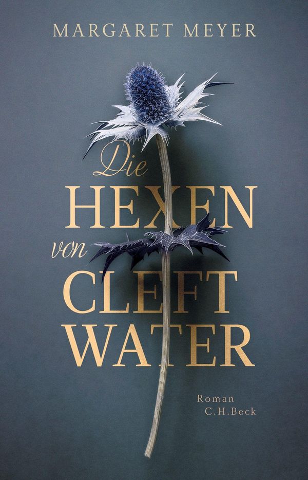 Die Hexen von Cleftwater - Margaret Meyer (Buch)