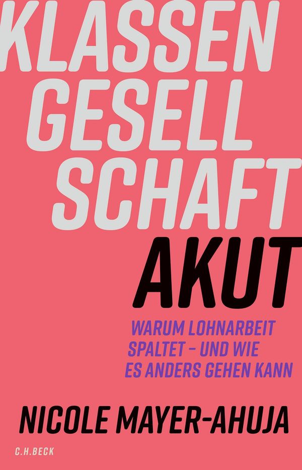 Klassengesellschaft akut - Nicole Mayer-Ahuja (Buch)