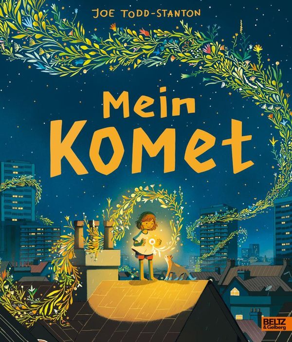 Mein Komet - Joe Todd-Stanton (Buch)