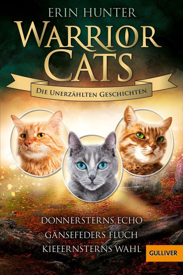 Warrior Cats - Die unerzählten Geschichten - Erin Hunter (Buch)