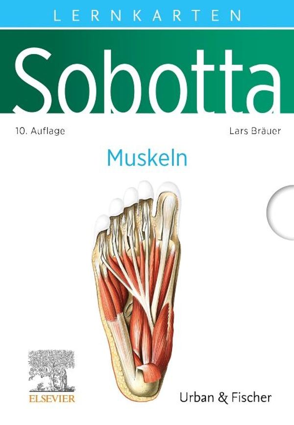 Sobotta Lernkarten Anatomie: Muskeln - Lars Bräuer (Buch)