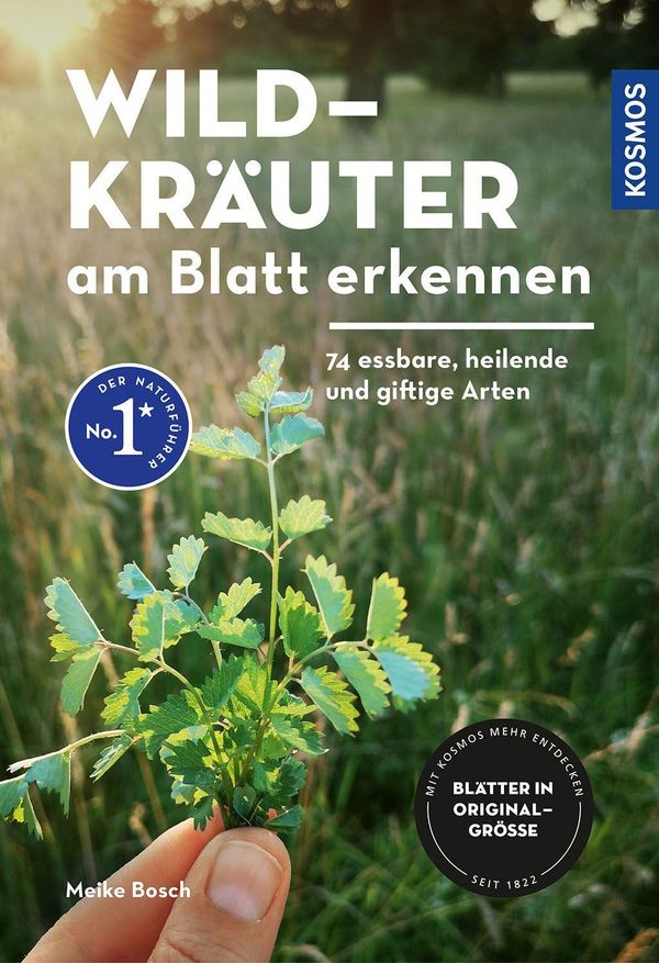 Wildkräuter am Blatt erkennen - Meike Bosch (Buch)