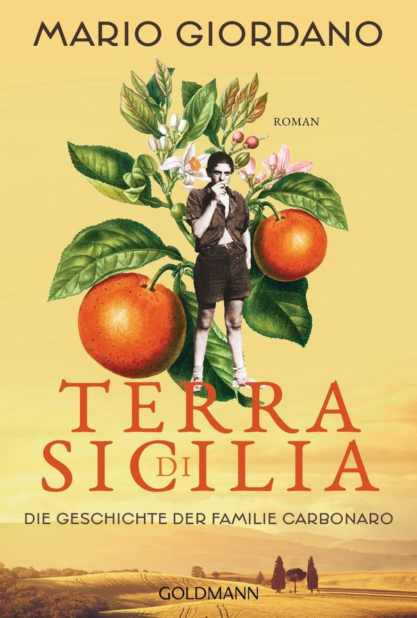 Terra di Sicilia. Die Geschichte der Familie Carbonaro (Buch)