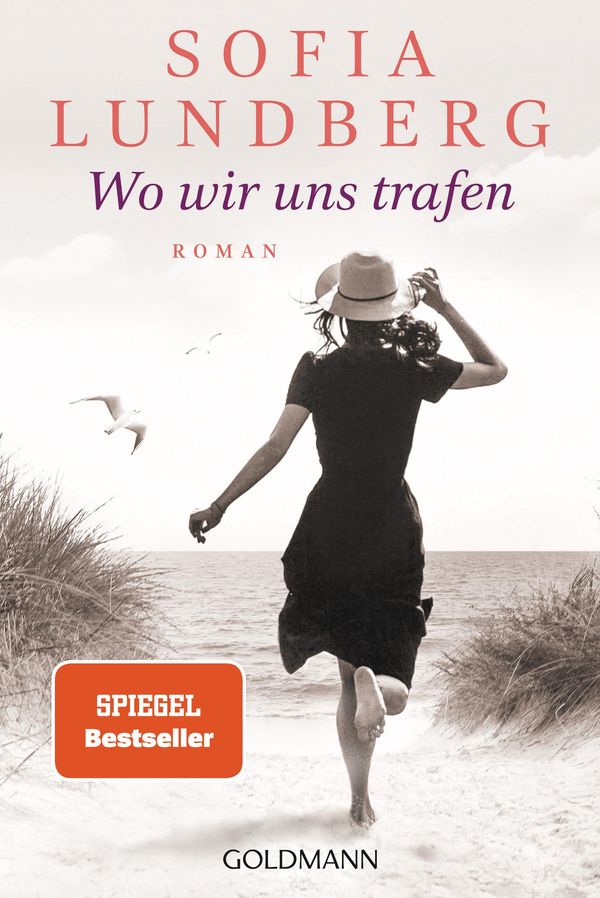 Wo wir uns trafen - Sofia Lundberg (Buch)
