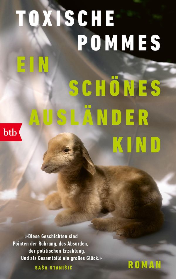 Ein schönes Ausländerkind - Toxische Pommes (Buch)