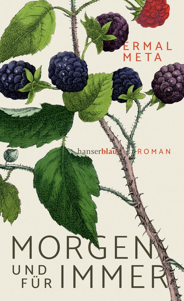 Morgen und für immer - Ermal Meta (Buch)