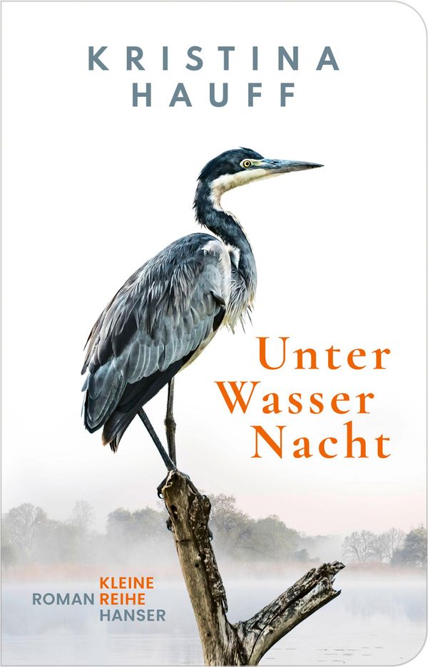 Unter Wasser Nacht - Kristina Hauff (Buch)