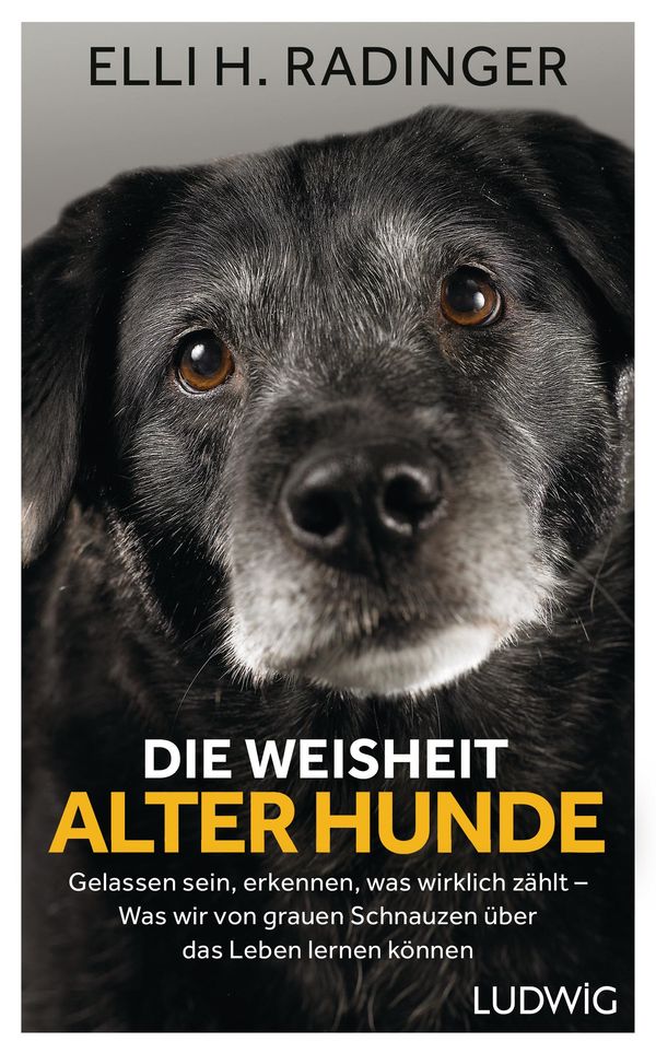 Die Weisheit alter Hunde - Elli H. Radinger (Buch)