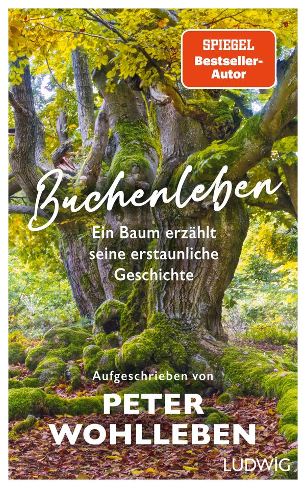 Buchenleben - Peter Wohlleben (Buch)
