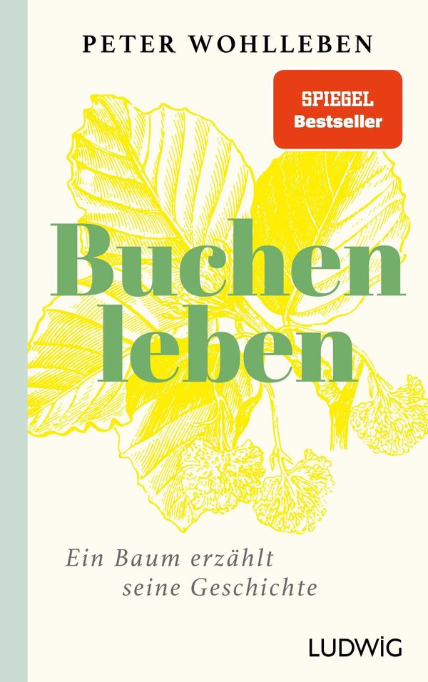 Sonderedition: Buchenleben - Peter Wohlleben (Buch)