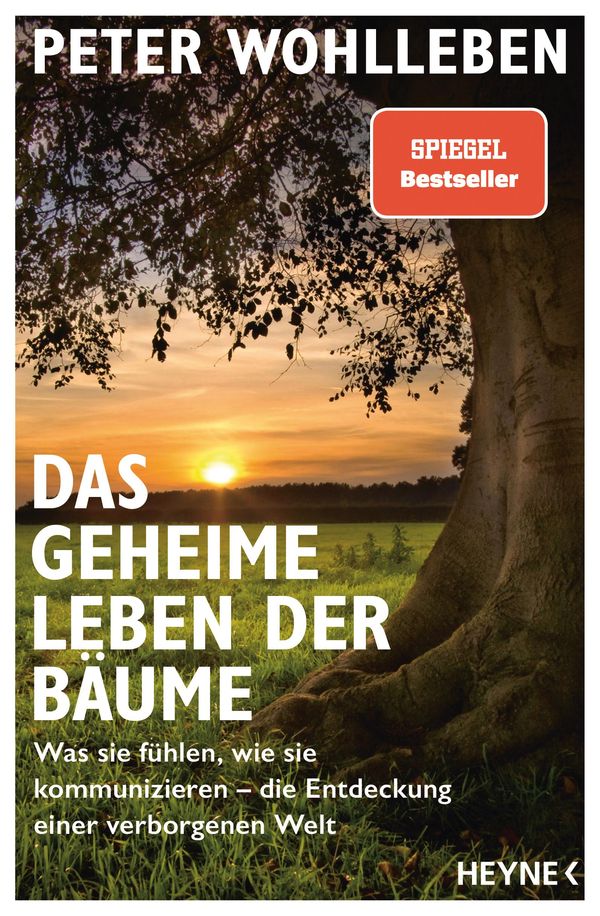 Das geheime Leben der Bäume - Peter Wohlleben (Buch)