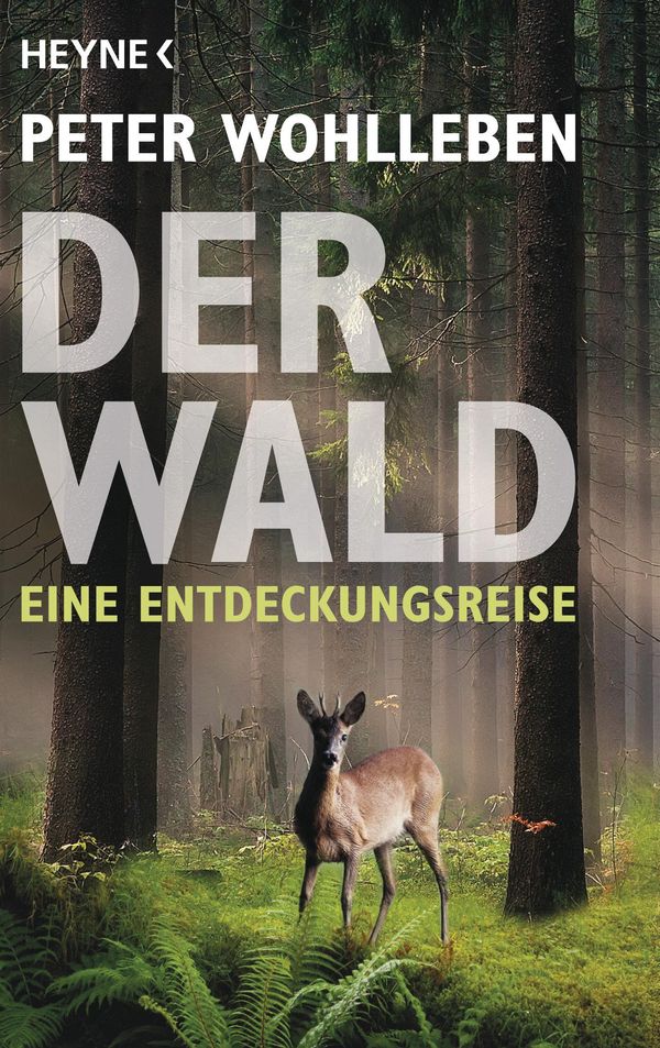 Der Wald - Peter Wohlleben (Buch)