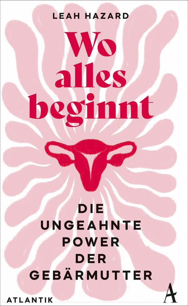 Wo alles beginnt - Leah Hazard (Buch)