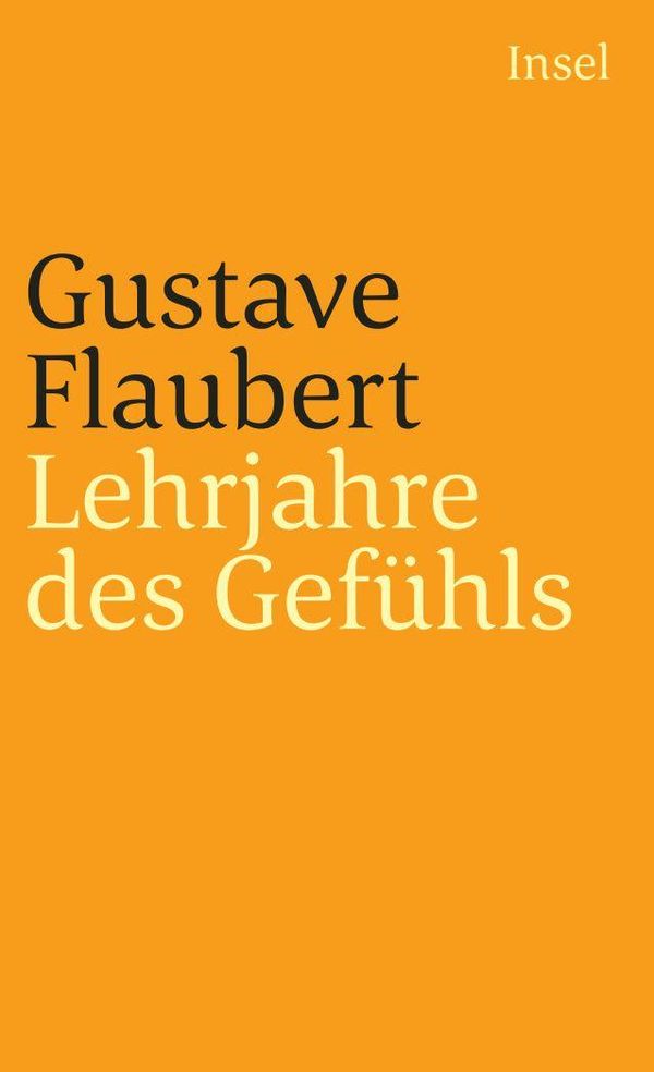 Lehrjahre des Gefühls - Gustave Flaubert (Buch)