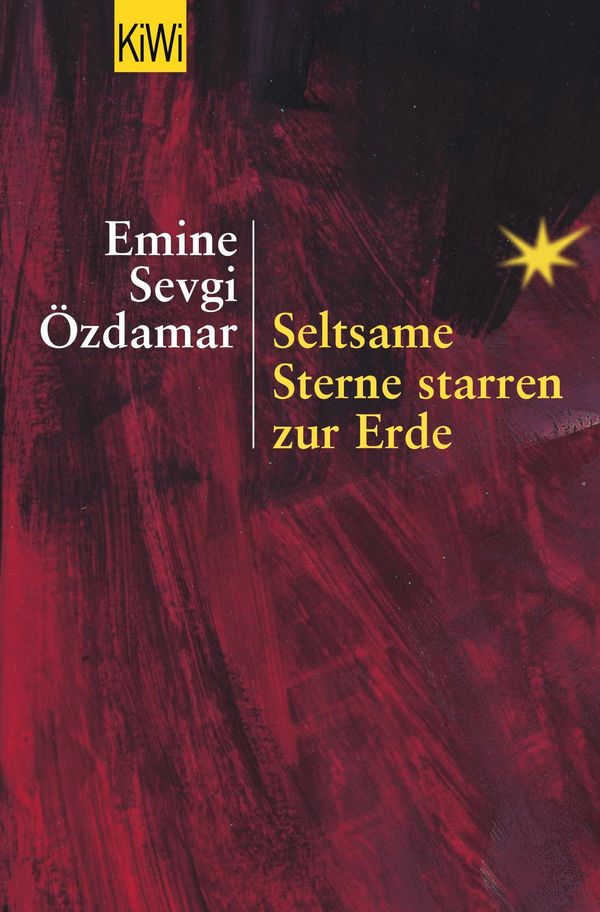 Seltsame Sterne starren zur Erde - Emine Sevgi Özdamar (Buch)