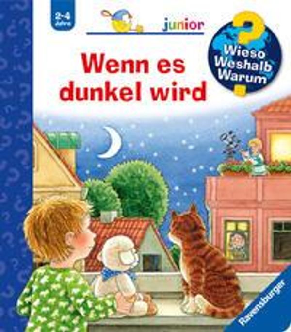 Wieso? Weshalb? Warum? junior, Band 28: Wenn es dunkel wird (Buch)