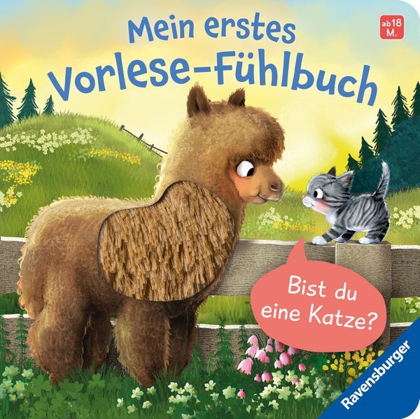 Mein erstes Vorlese-Fühlbuch - Bist du eine Katze? - Kathrin Lena Orso