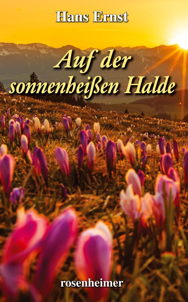 Auf der sonnenheißen Halde - Hans Ernst (Buch)