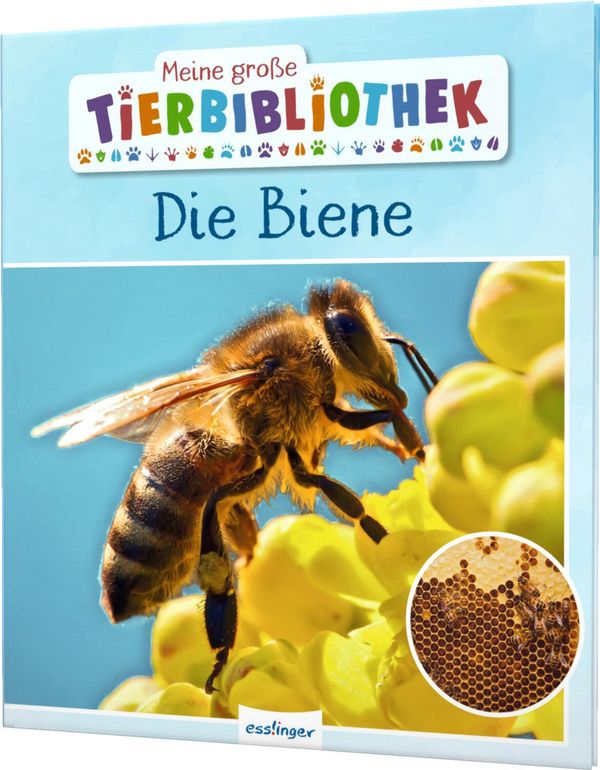 Meine große Tierbibliothek: Die Biene - Paul Starosta (Buch)