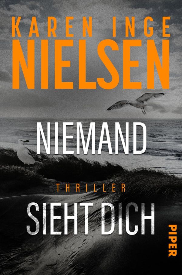 Niemand sieht dich - Karen Inge Nielsen (Buch)