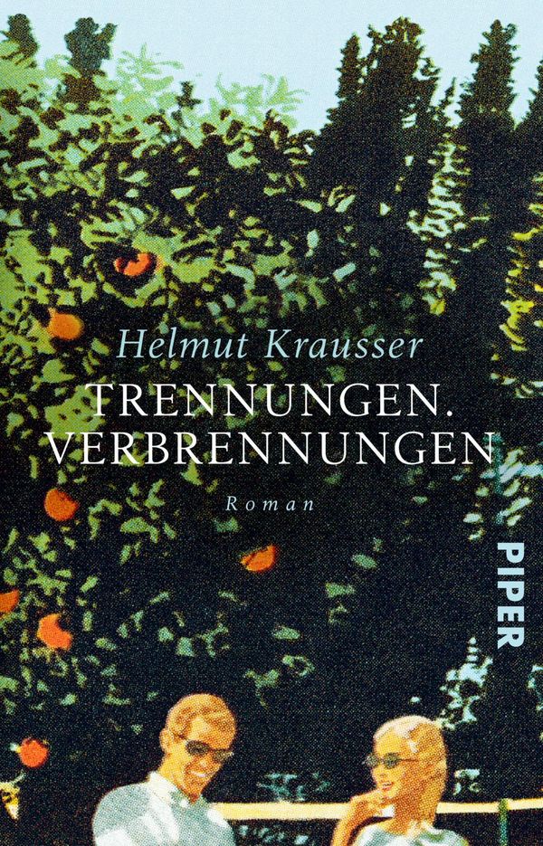 Trennungen. Verbrennungen - Helmut Krausser (Buch)