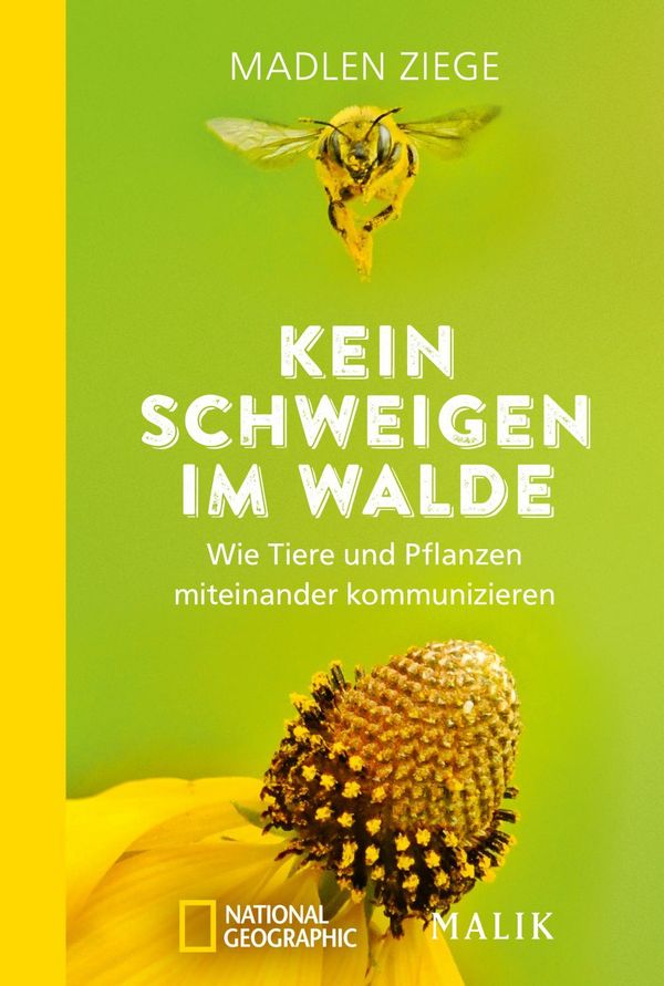 Kein Schweigen im Walde - Madlen Ziege (Buch)