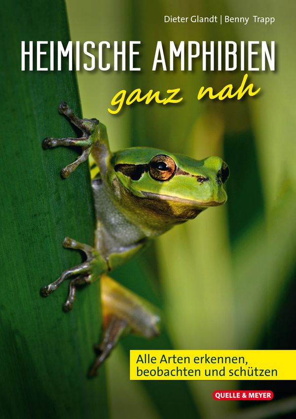 Heimische Amphibien ganz nah - Dieter Glandt (Buch)