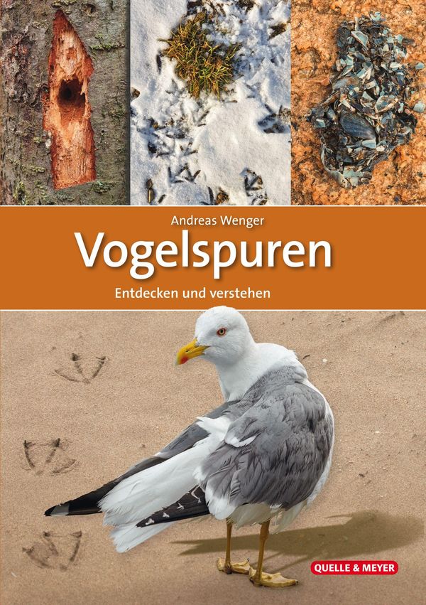 Vogelspuren - Andreas Wenger (Buch)