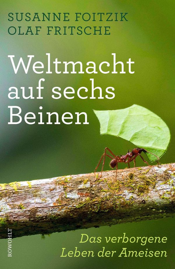 Weltmacht auf sechs Beinen - Susanne Foitzik (Buch)