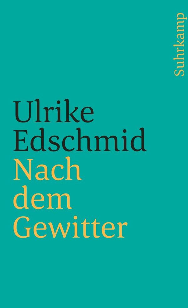 Nach dem Gewitter - Ulrike Edschmid (Buch)