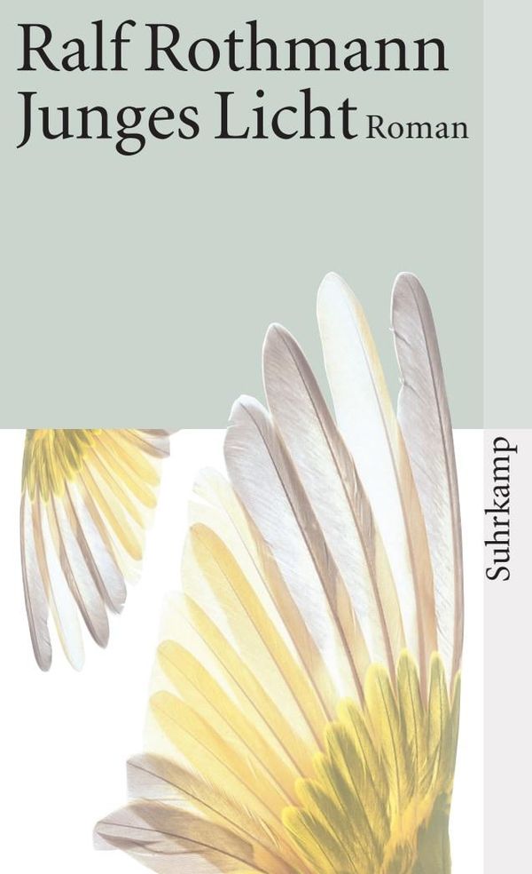 Junges Licht - Ralf Rothmann (Buch)