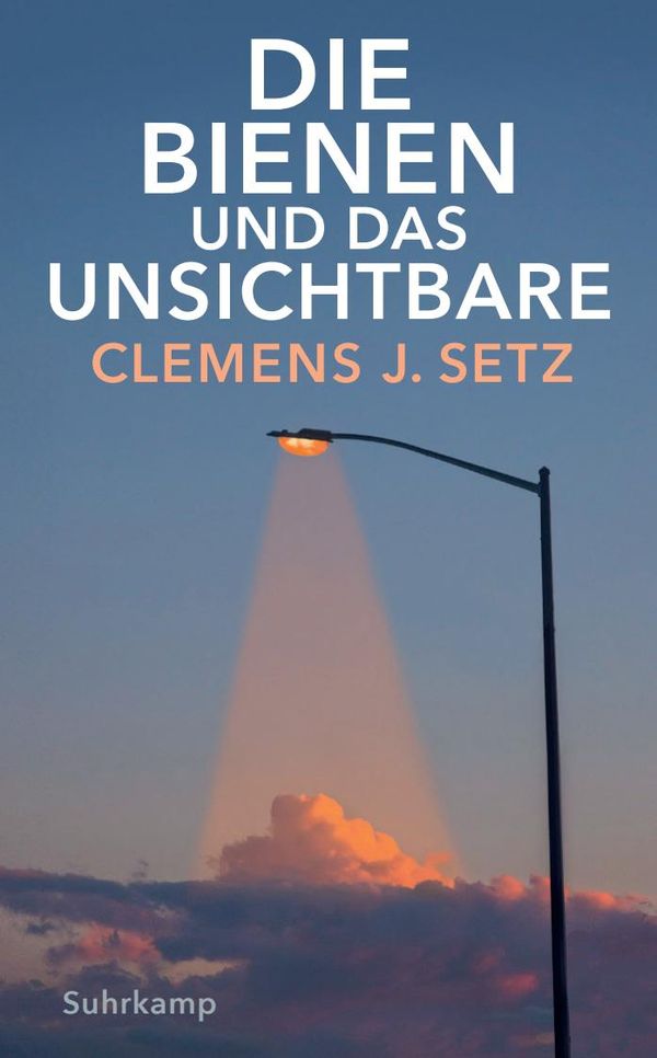 Die Bienen und das Unsichtbare - Clemens J. Setz (Buch)