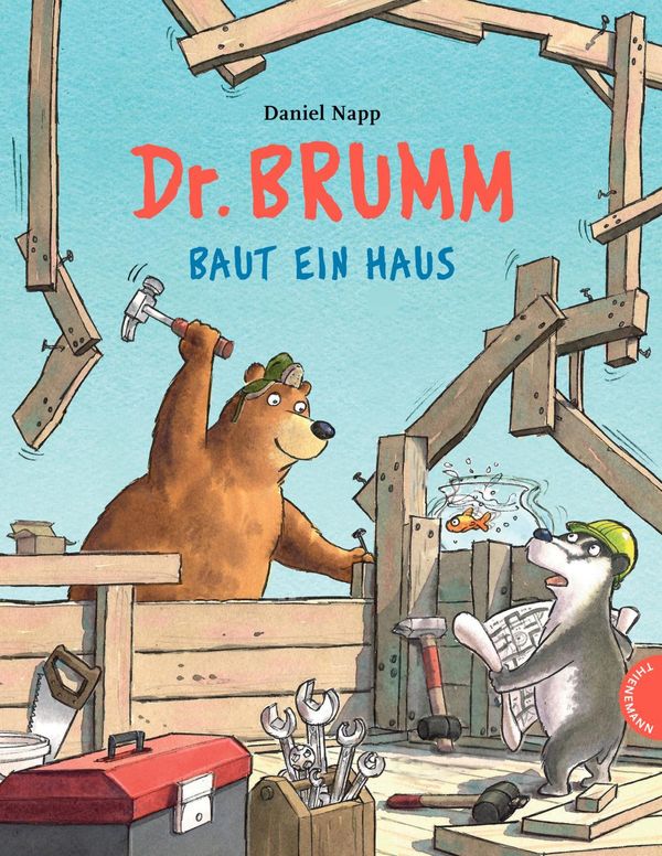 Dr. Brumm: Dr. Brumm baut ein Haus - Daniel Napp (Buch)
