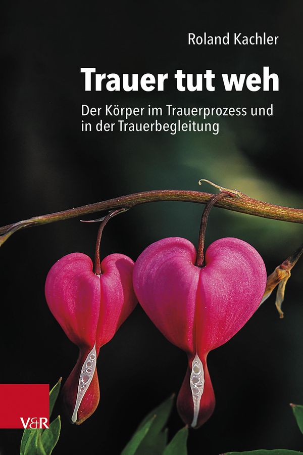 Trauer tut weh - Roland Kachler (Buch)