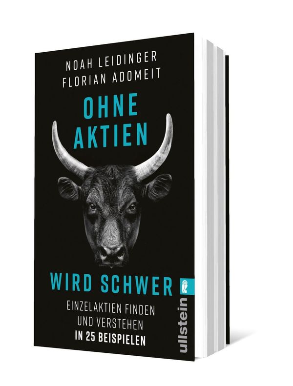 Ohne Aktien Wird Schwer - Noah Leidinger (Buch)