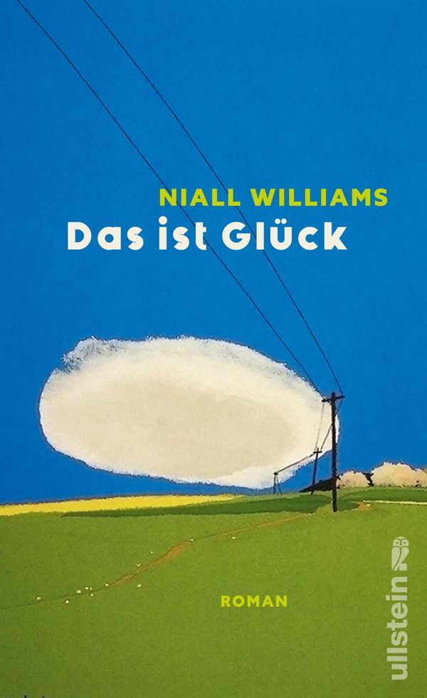 Das ist Glück - Niall Williams (Buch)