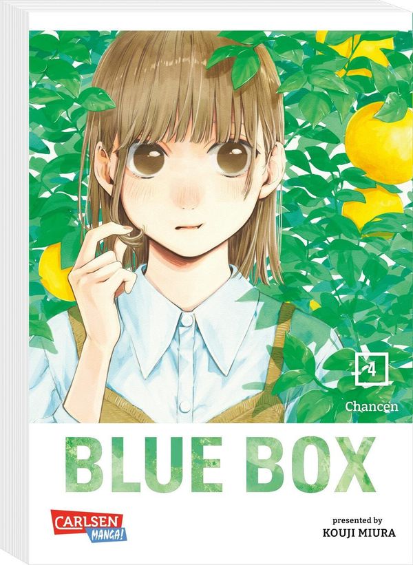 Blue Box 4 - Kouji Miura (Buch)